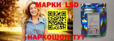 крисы Беслан