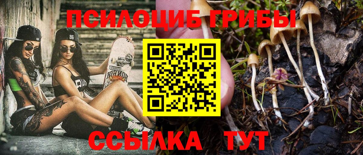 Галлюциногенные грибы Cubensis  Галлюциногенные грибы прущие грибы  Вход с VPN  Кировск 